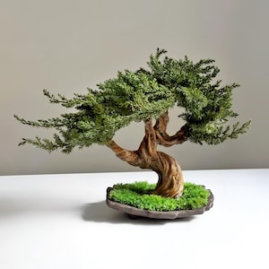 Könnte beinhalten: Ein Miniatur-Bonsai-Baum mit einem verdrehten, strukturierten braunen Stamm und leuchtend grünem Laub. Der Baum steht in einem dunklen, unregelmäßig geformten Topf, der mit grünem Moos gefüllt ist. Der Bonsai ist eine dekorative Pflanze.