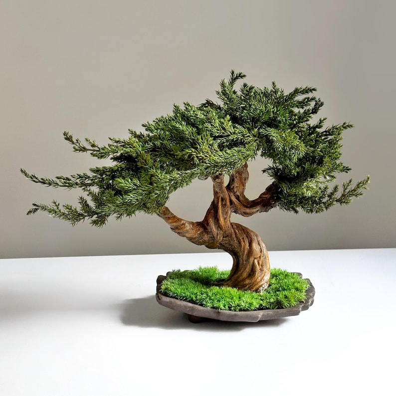 Handgemaakte geconserveerde jeneverbes bonsaiboom, keramische pot zen decor, weinig onderhoud indoor bonsai, Japandi kantoorplank cadeau afbeelding 2