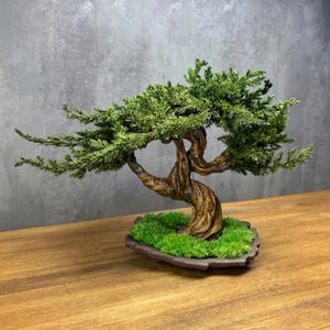 Handgemaakte geconserveerde jeneverbes bonsaiboom, keramische pot zen decor, weinig onderhoud indoor bonsai, Japandi kantoorplank cadeau afbeelding 8