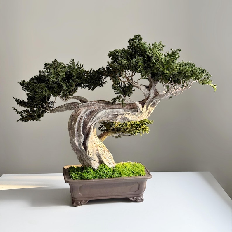 May include: A bonsai tree with a twisted, aged trunk and vibrant green foliage. The tree is planted in a rectangular brown pot filled with green moss. The bonsai's branches extend gracefully, creating a miniature landscape.