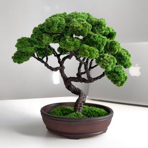 Peut inclure: Une sculpture d'arbre bonsaï décoratif avec un tronc sinueux brun foncé texturé et un feuillage en mousse vert vif. L'arbre est planté dans un pot en céramique brun foncé, rond et peu profond, rempli d'une couche de mousse vert vif.