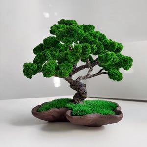 Può includere: Un albero bonsai in miniatura con un fogliame verde brillante e un tronco marrone contorto. L'albero è piantato in un vaso marrone di forma ovale riempito di muschio verde. Questo bonsai è un oggetto decorativo.