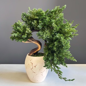 Puede incluir: Un bonsái artificial con follaje denso de color verde vibrante en forma de aguja y un tronco curvo de color marrón oscuro. La planta se encuentra en una maceta de cerámica redondeada de color blanco roto con un patrón de textura agrietada.