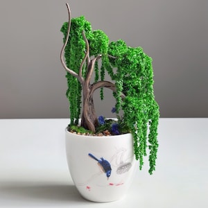 Puede incluir: Un bonsái de sauce llorón en miniatura en una maceta de cerámica blanca. El árbol tiene un tronco y ramas marrones con follaje verde brillante. La maceta está decorada con un diseño de pájaro azul y detalles rojos.