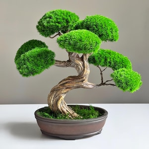 Könnte beinhalten: Ein Miniatur-Bonsai-Baum mit leuchtend grünen Blättern und einem strukturierten, verdrehten Stamm. Der Baum steht in einem braunen, ovalen Topf mit grünem Moos. Der Bonsai ist ein dekoratives Element.