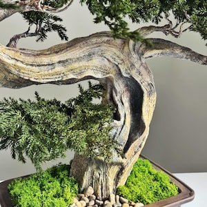 May include: A detailed bonsai tree with a textured, weathered trunk and vibrant green foliage. The tree is planted in a rectangular brown pot with green moss and small stones at the base, creating a miniature landscape.