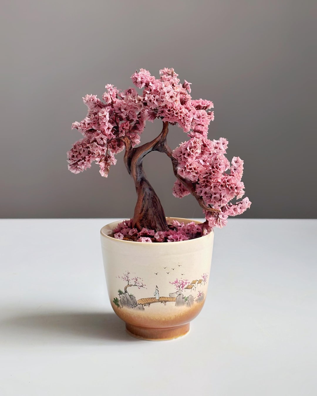 Mini Sakura Bonsai Tree in Hand-painted Ceramic Pot | Maintenance-free ...