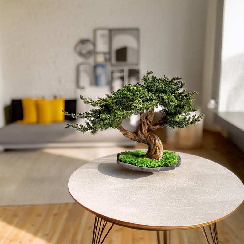 May include: A small bonsai tree with green foliage and a twisted, brown trunk sits on a round, white table. The tree is planted in a dark, rectangular pot with green moss. The table has gold-colored legs.