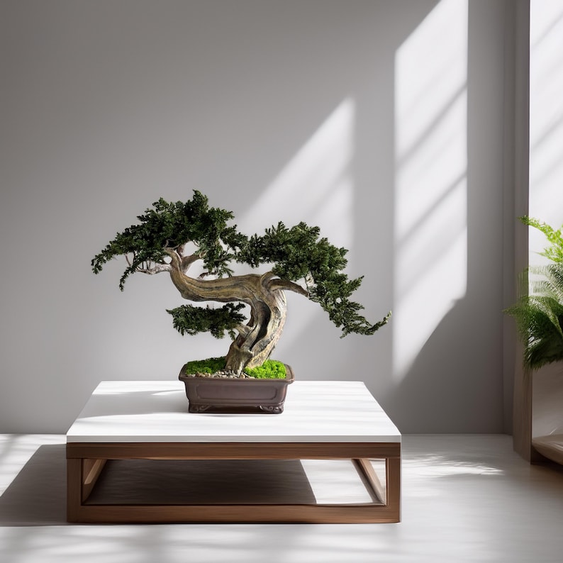 Large Preserved Juniper Bonsai Tree with Moss, Japanese Zen Decor for Home & Office, Maintenance Free Indoor Plant, Ceramic Planter Gift image 9