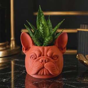 May include: A terracotta-colored planter shaped like the head of a French Bulldog. The planter features detailed facial features including upright ears, a wrinkled snout, and wide-set eyes. A green snake plant with variegated leaves is planted inside.