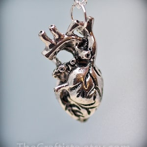 Anatomical Heart Necklace - Anatomical Heart Pendant - Anatomical Jewelry - Gothic Necklace - Surgeon Necklace - Cardio Necklace - Doctor