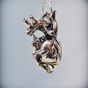 Anatomical Heart Necklace, Anatomical Heart Pendant, Anatomical Jewelry,  Valentine's Day Gift, Surgeon Necklace, Cardio Necklace, Doctor