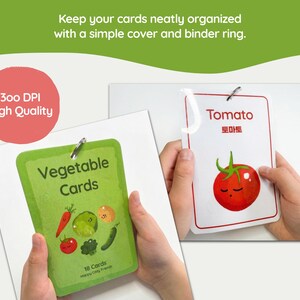 Lifestyle preview of Korean-English vegetable flashcards organized with a cover page and binder ring, showing hands holding the card set and a laminated tomato flashcard, with 300 DPI high quality text.