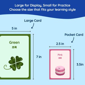 May include: Two flashcards, one green and one pink, with the text "Large for Display, Small for Practice." The green card is 5 inches wide and 7 inches tall, with a four-leaf clover. The pink card is 2.5 inches wide and 3.5 inches tall, with a pink macaron.