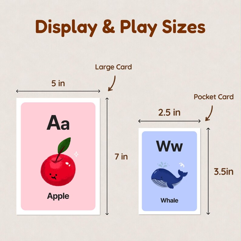 A size comparison chart for the flashcards. It shows two options: a 'Large Card' measuring 5 by 7 inches and a 'Pocket Card' measuring 2.5 by 3.5 inches, helping customers understand the physical dimensions after printing.