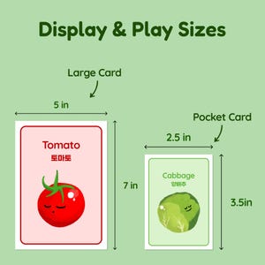 Size guide image for Korean-English vegetable flashcards showing two included card formats: a large tomato card measuring 5 x 7 inches and a pocket cabbage card measuring 2.5 x 3.5 inches on a green background.
