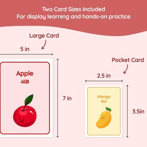 Educational flashcards with two sizes: a 5x7 inch large card and a 2.5x3.5 inch pocket card. The large card features a red apple with the word "Apple" and Korean characters. The smaller card shows a mango.