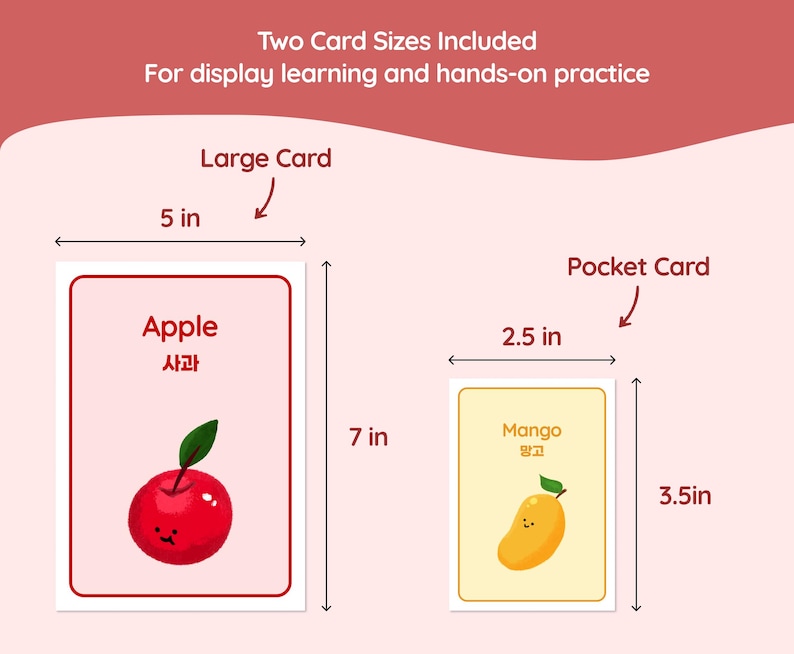 Educational flashcards with two sizes: a 5x7 inch large card and a 2.5x3.5 inch pocket card. The large card features a red apple with the word "Apple" and Korean characters. The smaller card shows a mango.