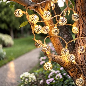 May include: String of decorative globe lights with a warm glow, strung on a tree branch. The lights have a patterned design, creating a soft, ambient light. The background shows a blurred outdoor setting with greenery and a pathway.