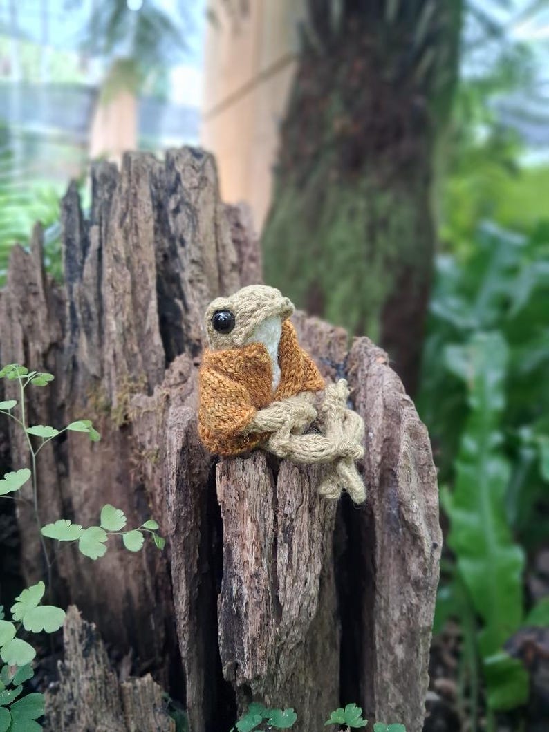 Hand Knit Frog With Sweater - Etsy Australia