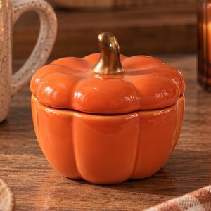 Pumpkin Cooking Pot, Ceramic Cookware for Fall & Halloween, Small Lidded Pot for Home Cooks