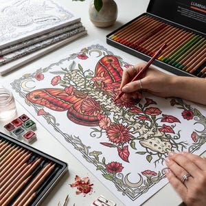 May include: A detailed illustration of a butterfly and floral design is being colored with colored pencils. A black tin of colored pencils and watercolor paints are on the white surface. A small vase of red flowers sits nearby. Art supplies for coloring and drawing.