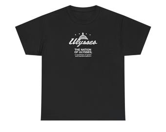 Chemise Capitol The Nation of Ulysse, T-shirt punk post-hardcore, T-shirt Dischord Scene, T-shirt graphique rock indépendant underground, cadeau pour les fans de musique