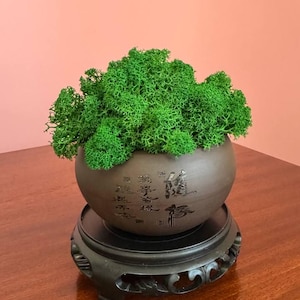 May include: A decorative, round, brown ceramic pot filled with vibrant green moss, resting on a black, ornate wooden stand. The pot has engraved Asian characters. The background is a solid peach color.