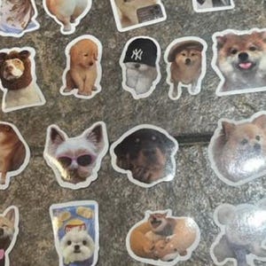 May include: A collection of dog stickers in various breeds and poses. The stickers feature dogs with hats, sunglasses, and other accessories. The stickers are on a brown surface.