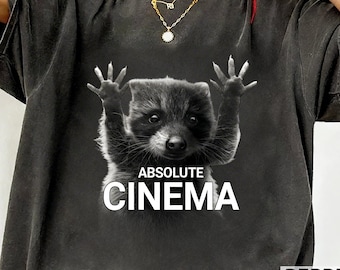 Absolute Cinema Raccoon-tröja, rolig meme-grafik-tröja, viral djur-tröja, söt estetisk vintage-stil unisex streetwear-gåva, trendig tröja