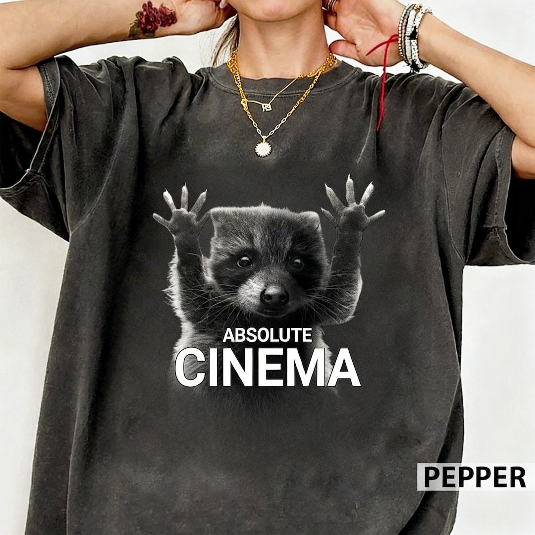 Absolute Cinema Raccoon Shirt, Funny Meme Graphic Tee, Viral Animal T ...