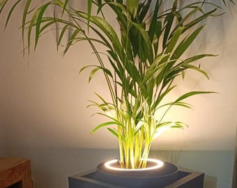 Lampe LED anneau pour plante , création artisanale 3D,  éclairage cosy intérieur , décoration lumineuse design moderne,  3 diamètres