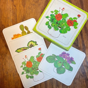 Vintage kartonnen doosjes uit de jaren 70 – Notes from the Greenhouse – Art by Dawn – Regal briefpapier – Set van 10