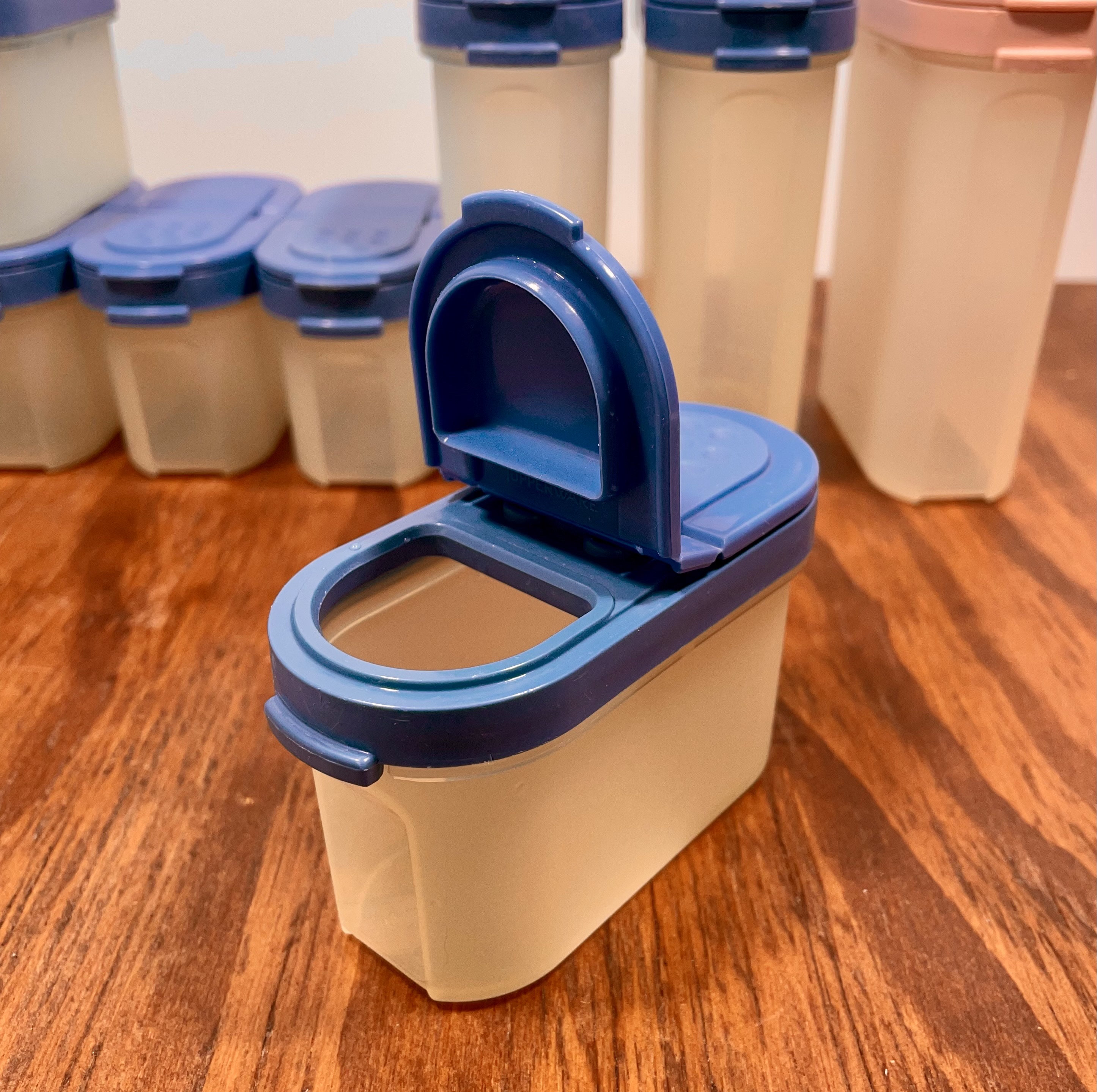 Tupperware Modular Mates Spice Carousel With 12 Shakers 1980s Kitchen  Organization Stackable Pantry Storage Clear Blue 
