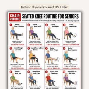 Può includere: Una scheda illustrativa intitolata Seated Knee Routine for Seniors, che mostra dodici illustrazioni numerate di persone che eseguono esercizi da sedute su sedie, con testo descrittivo per ogni movimento e istruzioni per le serie.