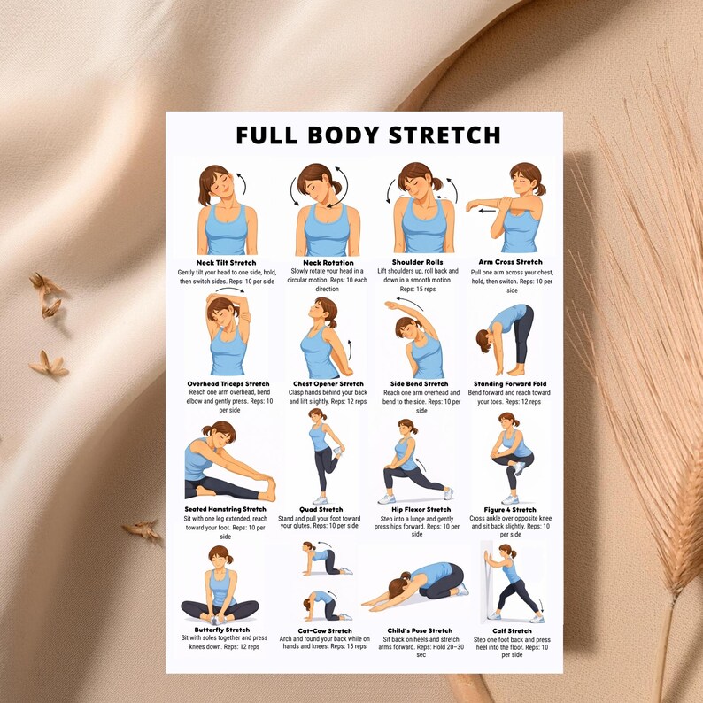 Stretch Study Guide Daily Stretching Routine Chart Printable PDF, Full Body Stretch ...