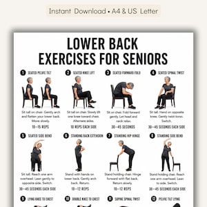 May include: A printable guide titled "Lower Back Exercises for Seniors" with illustrations of various exercises. The guide includes instructions for seated and standing exercises, such as pelvic tilts, knee lifts, and side bends, designed for seniors.