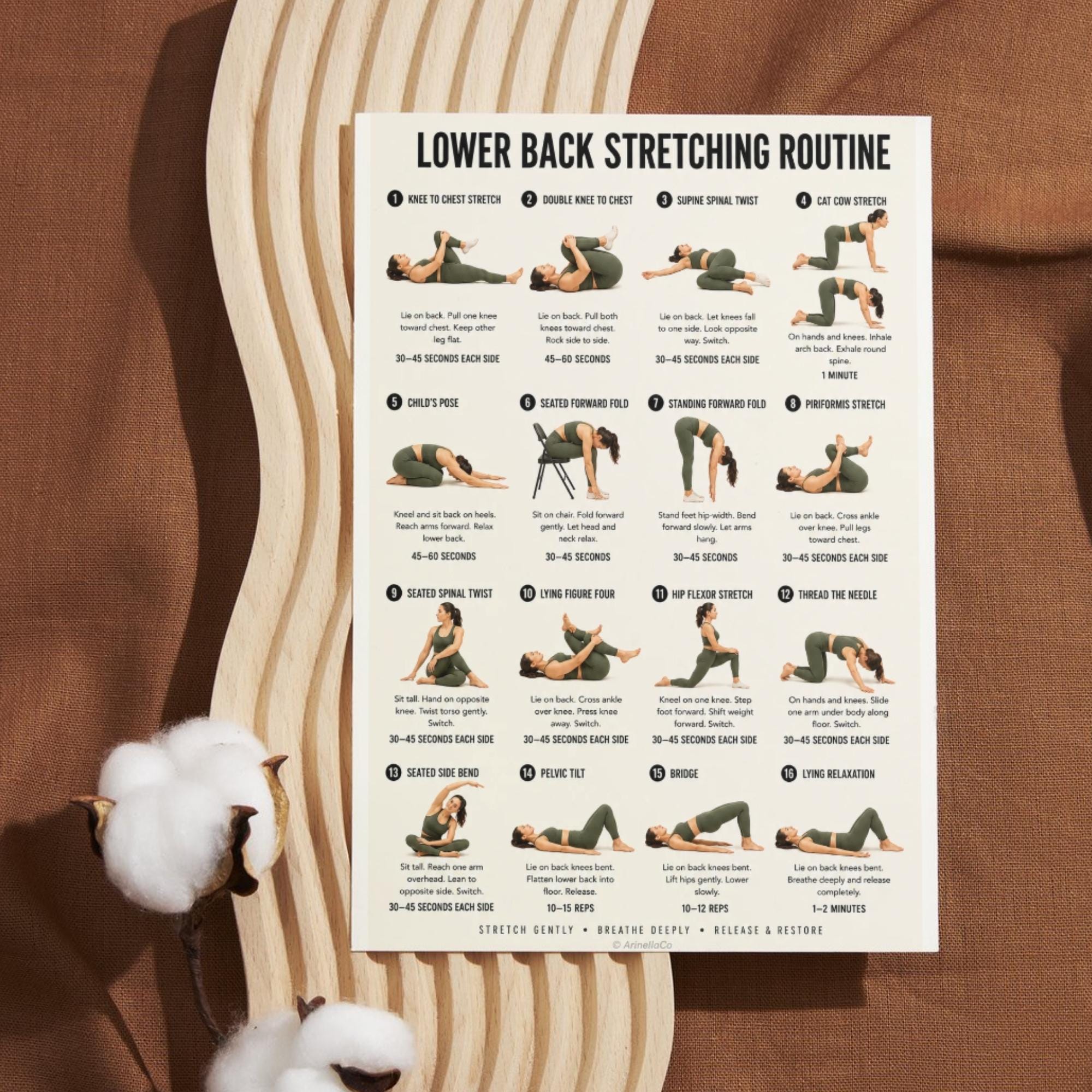Lower Back Stretching Routine Printable Chart, 16 Gentle Stretches to ...