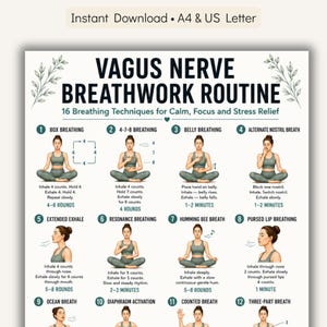 Peut inclure: Un guide imprimable intitulé "Vagus Nerve Breathwork Routine" avec 16 techniques de respiration pour le calme, la concentration et le soulagement du stress. Le guide comprend des illustrations et des instructions pour chaque technique.