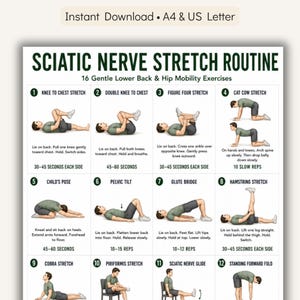 Può includere: Un'infografica stampabile intitolata "Routine di stretching del nervo sciatico" con 16 esercizi delicati per la parte bassa della schiena e la mobilità dell'anca. Gli esercizi sono illustrati con omini stilizzati che dimostrano ogni allungamento, tra cui ginocchio al petto.