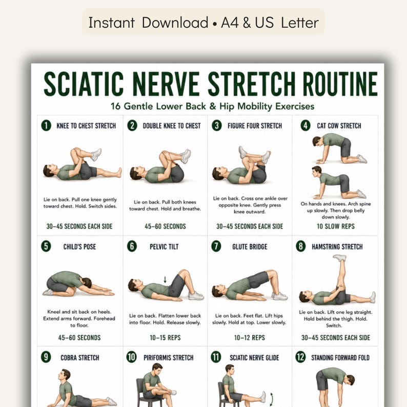 Sciatic Nerve Stretch Routine Printable PDF | 16 Gentle Lower Back ...