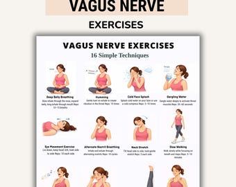 Vagus Nerve Exercises Printable, Breathing and Relaxation Routine, Gentle Movement Exercises, Daily Routine Chart, PDF Poster