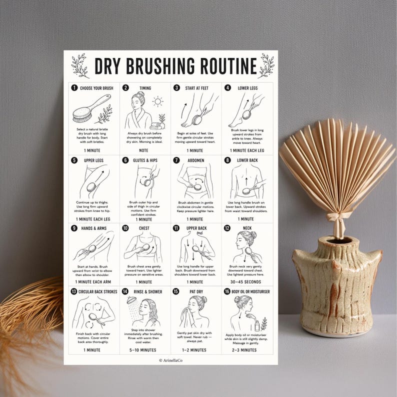 May include: A white poster with a dry brushing routine guide, featuring illustrations and text. The poster is displayed next to a beige vase with a dried palm leaf arrangement. The text includes instructions for each step of the routine.