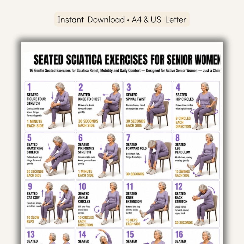 Seated Exercises for Women - Etsy UK