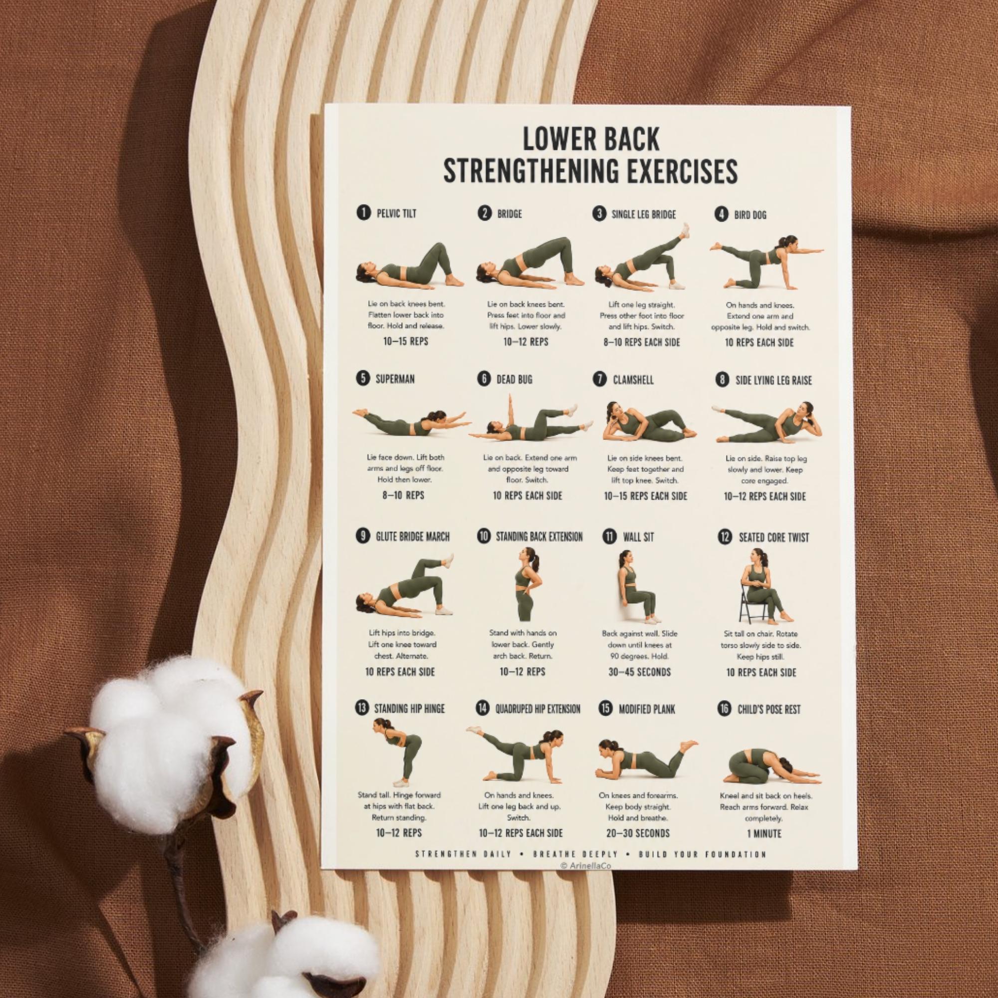 Lower Back Strengthening Exercises Printable Chart, 16 Gentle Movements ...
