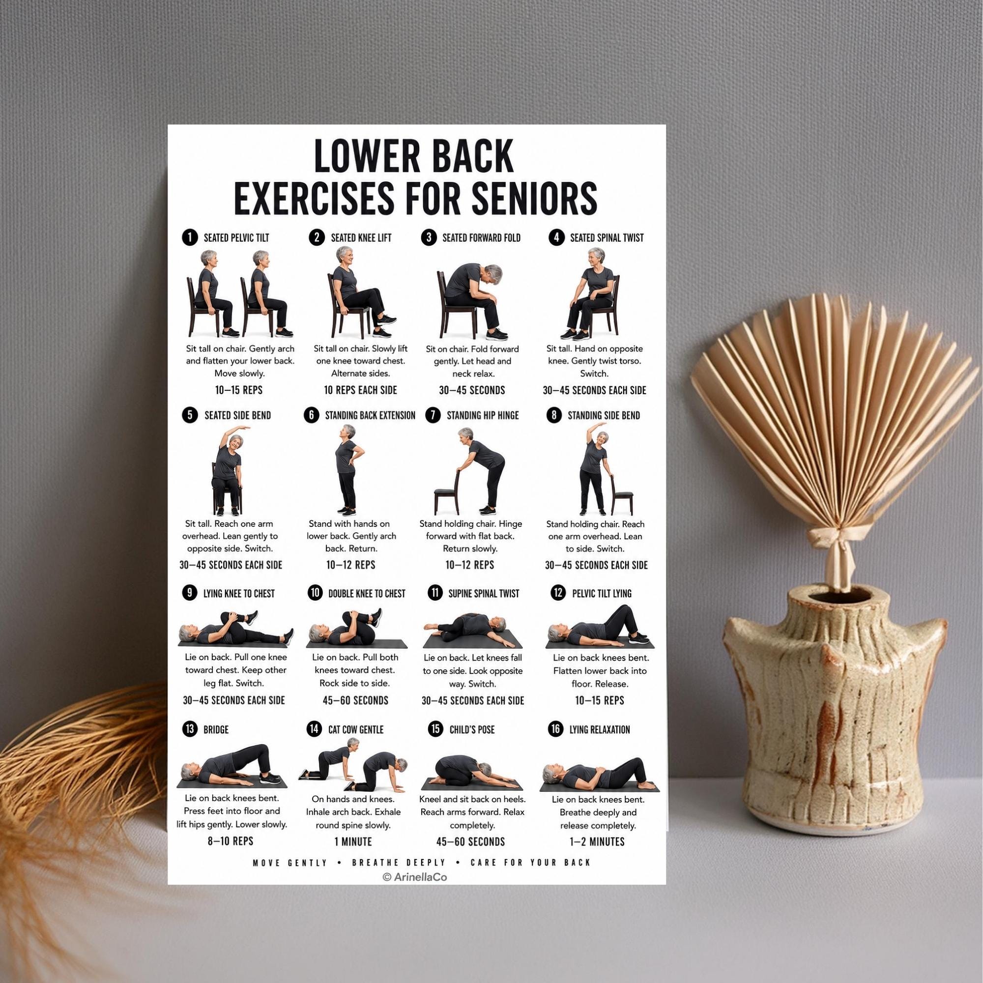 Lower Back Exercises for Seniors Printable Chart, 16 Gentle Movements ...