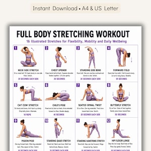 Könnte beinhalten: Ein Ganzkörper-Dehnungs-Workout-Guide mit 16 illustrierten Dehnübungen für Flexibilität, Mobilität und tägliches Wohlbefinden. Die Übungen umfassen Nackendehnung, Brustöffner, seitliche Dehnung im Stehen, Vorbeuge und mehr.