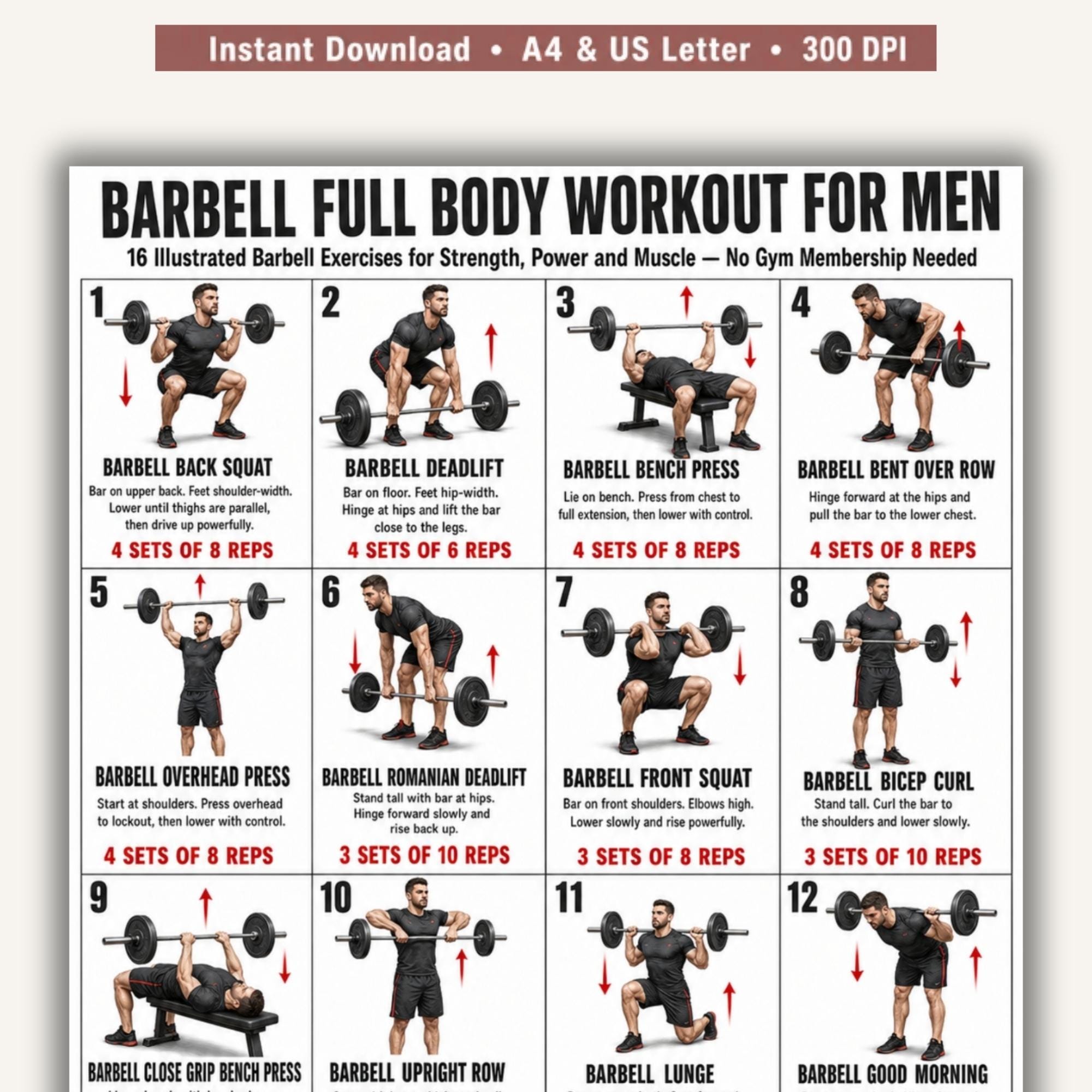 Barbell Full Body Workout for Men Printable Chart, 16 Illustrated ...