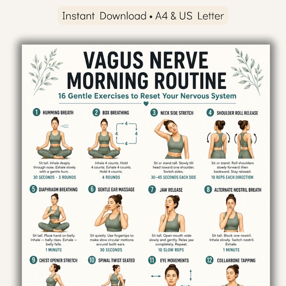 Vagus Nerve Morning Routine Printable PDF | 16 Gentle Exercises to Reset Your Nervous System Daily Breathwork & Movement Chart for Beginners