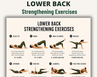Lower Back Strengthening Exercises Printable Chart, 16 Gentle Movements for Strong and Stable Lower Back, Back Workout PDF Poster